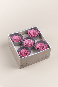 Cereza Vintage