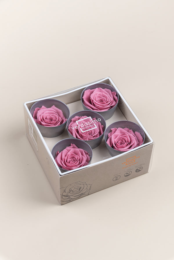 Rose Queen - Box 5 heads