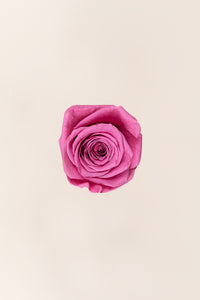 Cerise vintage