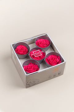 Rosa oscuro