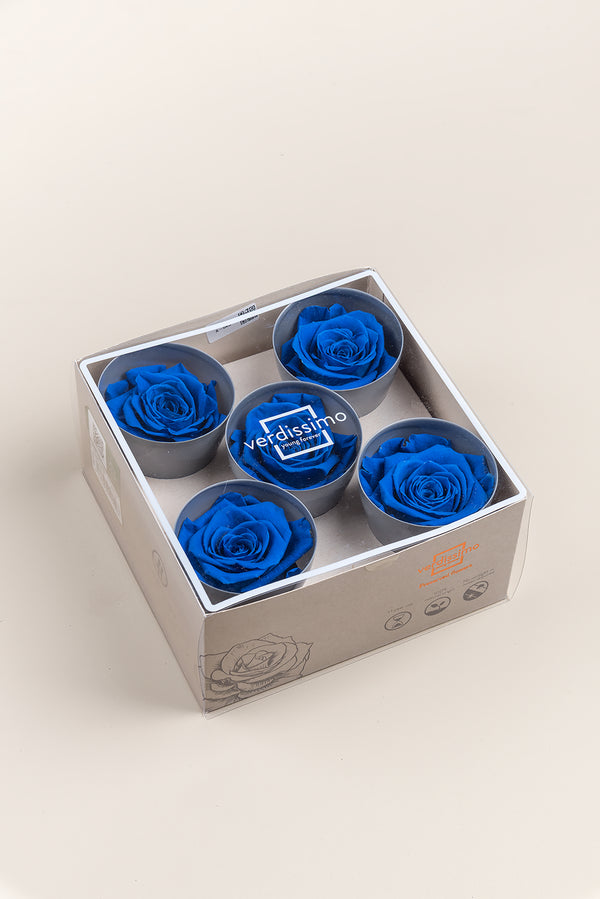 Rose Queen - Box 5 heads
