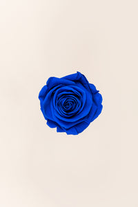 Bleu foncé