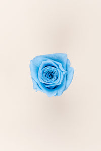 Bleu clair