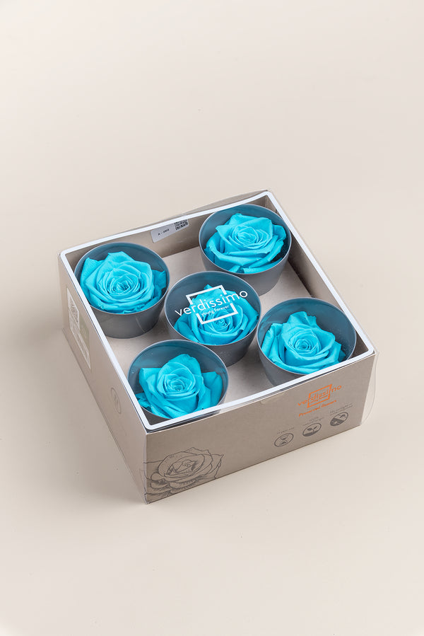 Rose Queen - Box 5 heads