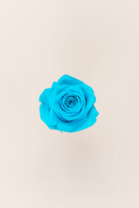 Turquoise vif