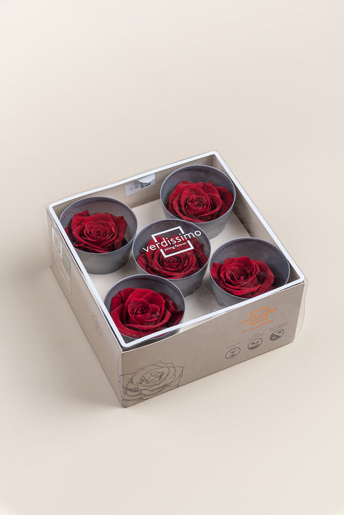 Rose Queen - Box 5 heads