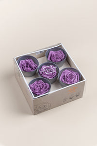 Lilas