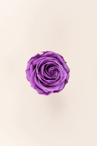 Lilas