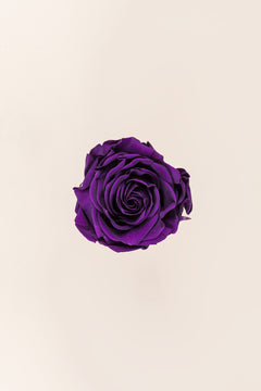 Morado