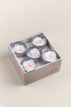 Blanco / Rosa pastel