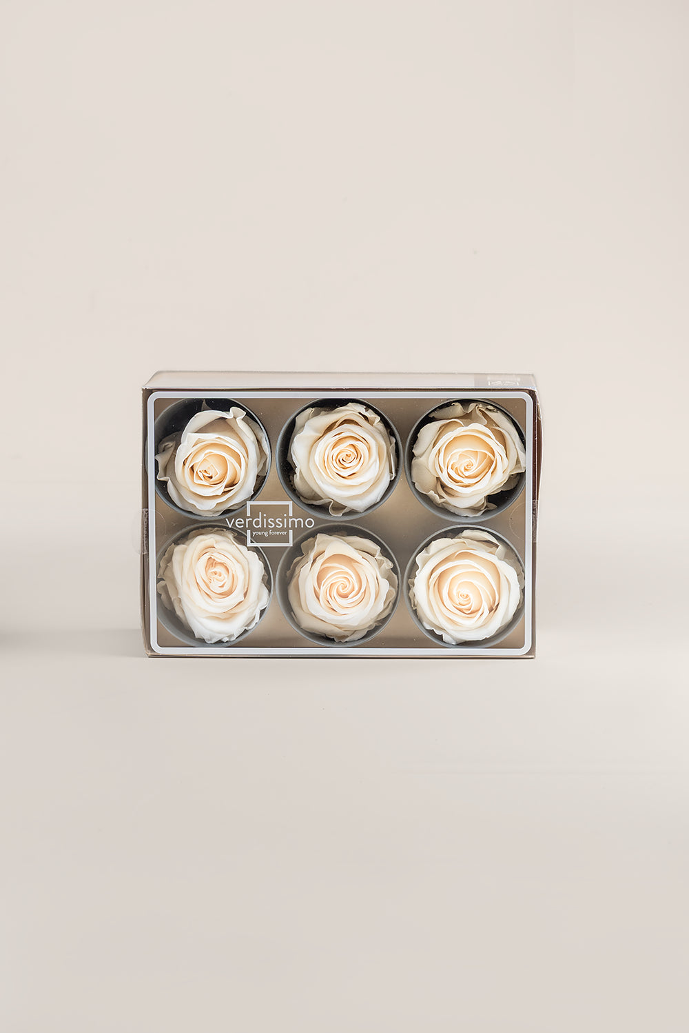 Rose Standard - Boîte 6 têtes