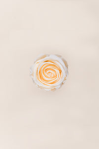 Champagne