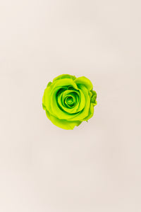 Vert citron