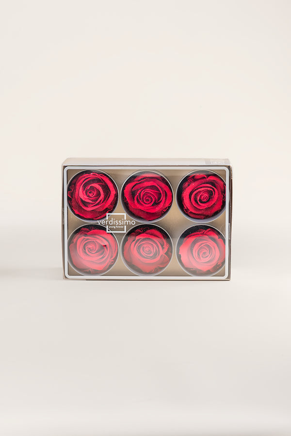 Rose Standard - Boîte 6 têtes