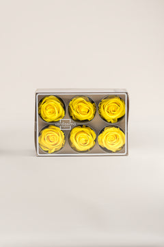 Jaune vif