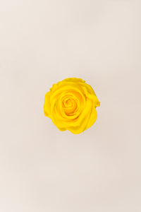 Jaune vif