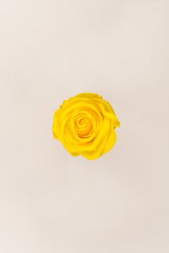Bright Yellow