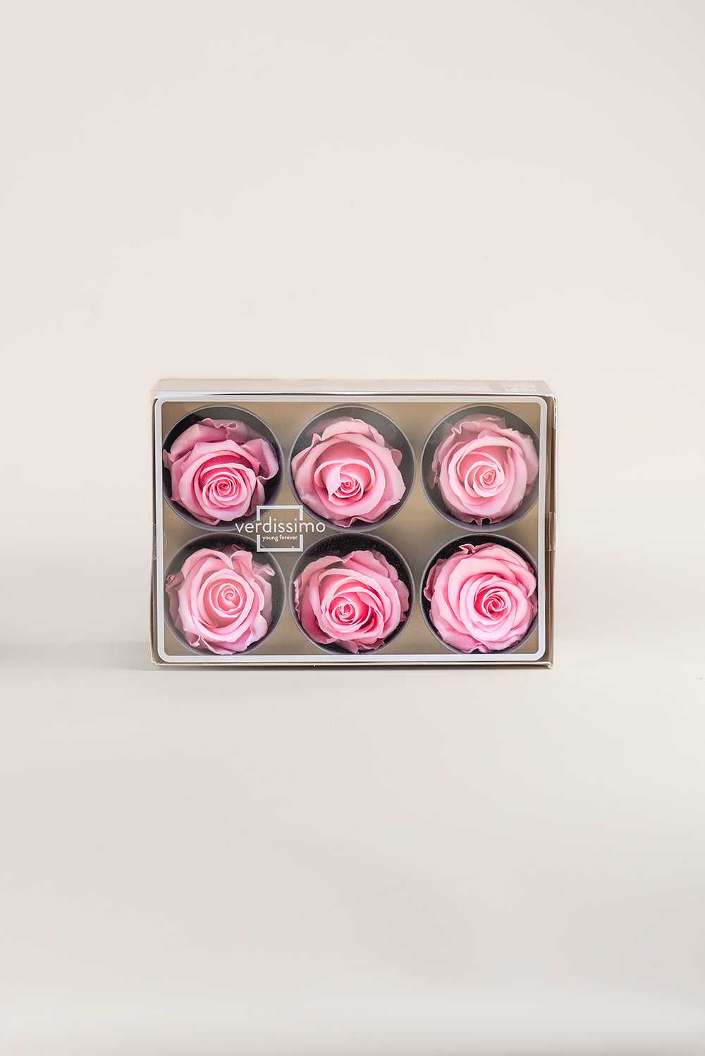 Rose Standard - Boîte 6 têtes