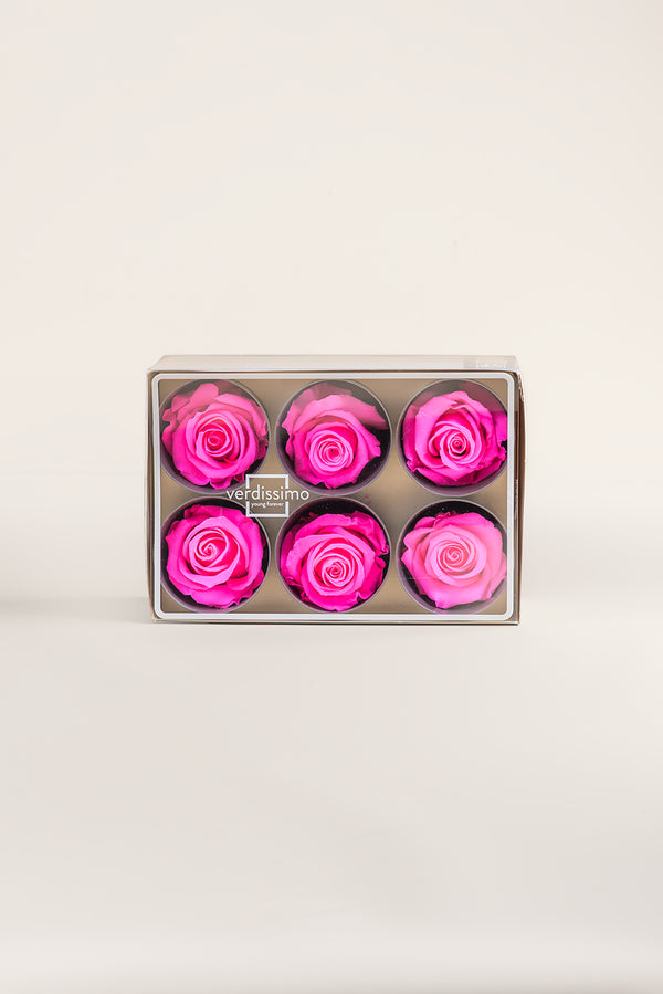 Rose Standard - Boîte 6 têtes