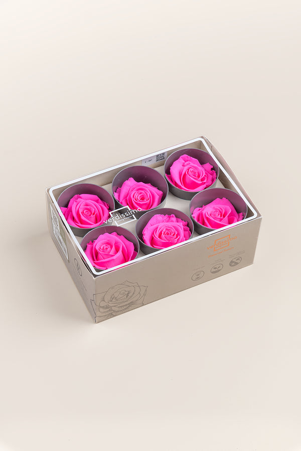 Rose Standard - Boîte 6 têtes