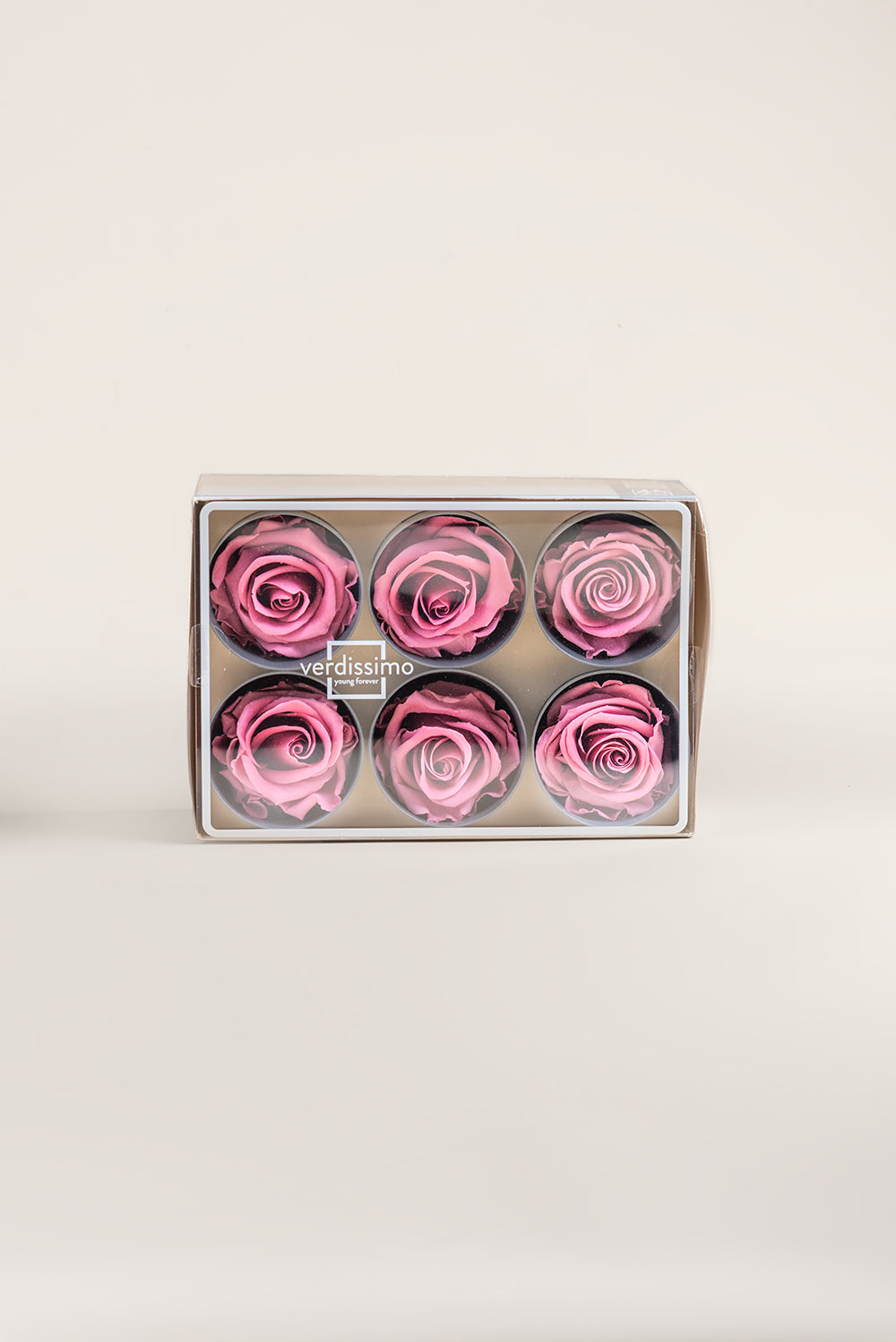 Rose Standard - Boîte 6 têtes