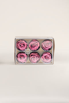 Cerise Vintage