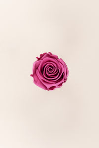 Cerise vintage