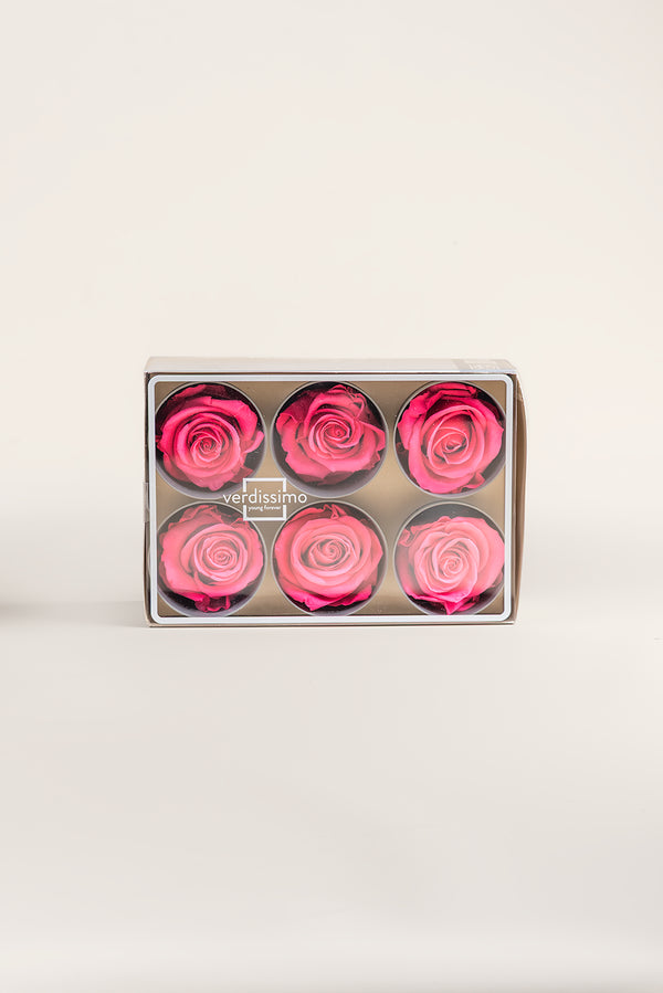 Rose Standard - Boîte 6 têtes