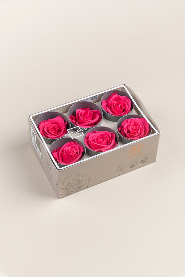 Rose Standard - Boîte 6 têtes