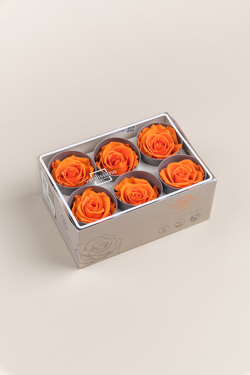 Rose Standard - Boîte 6 têtes