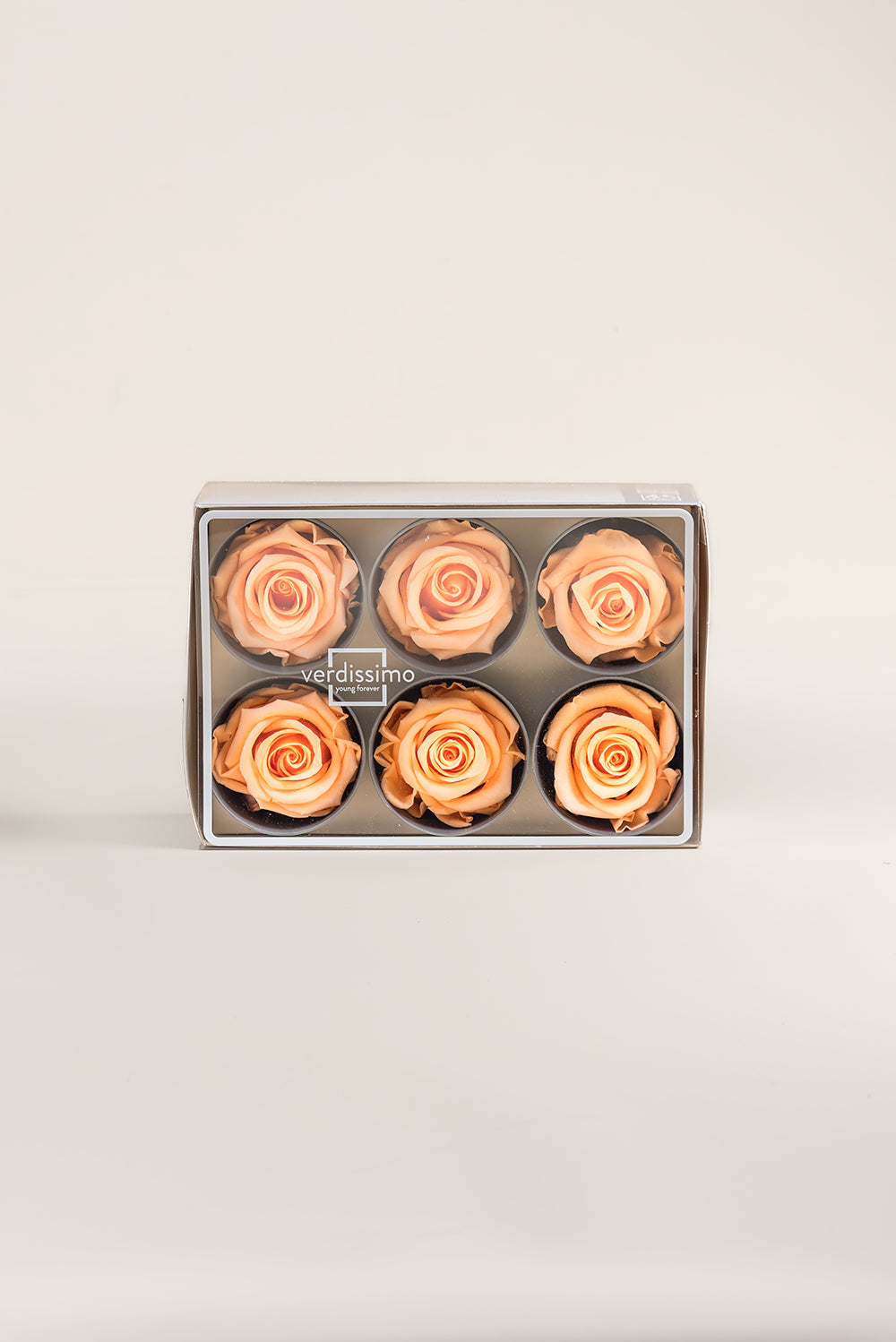 Rose Standard - Boîte 6 têtes