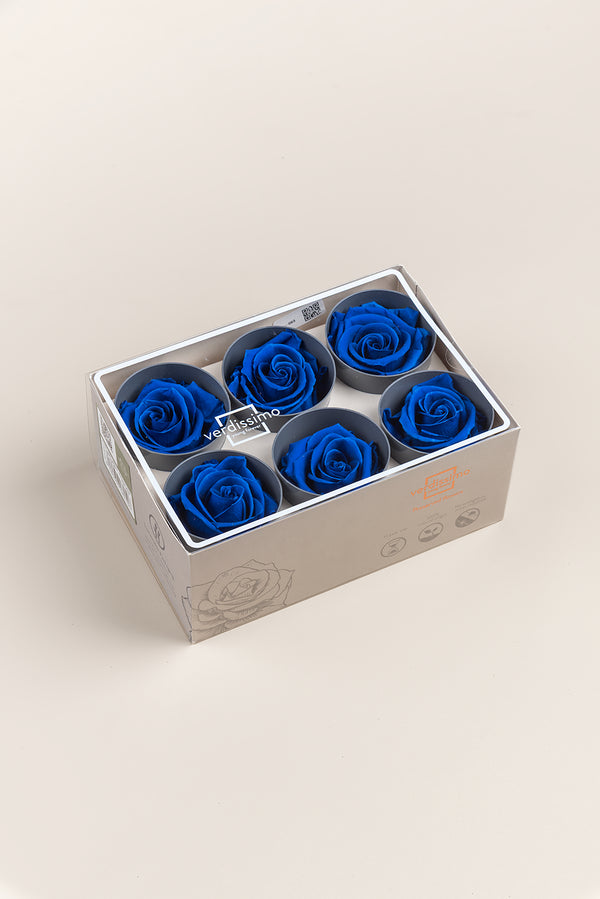 Rose Standard - Boîte 6 têtes