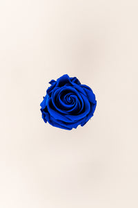 Bleu foncé