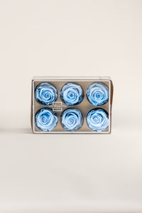 Bleu clair