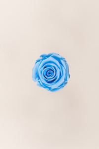 Bleu clair