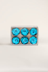 Turquoise vif