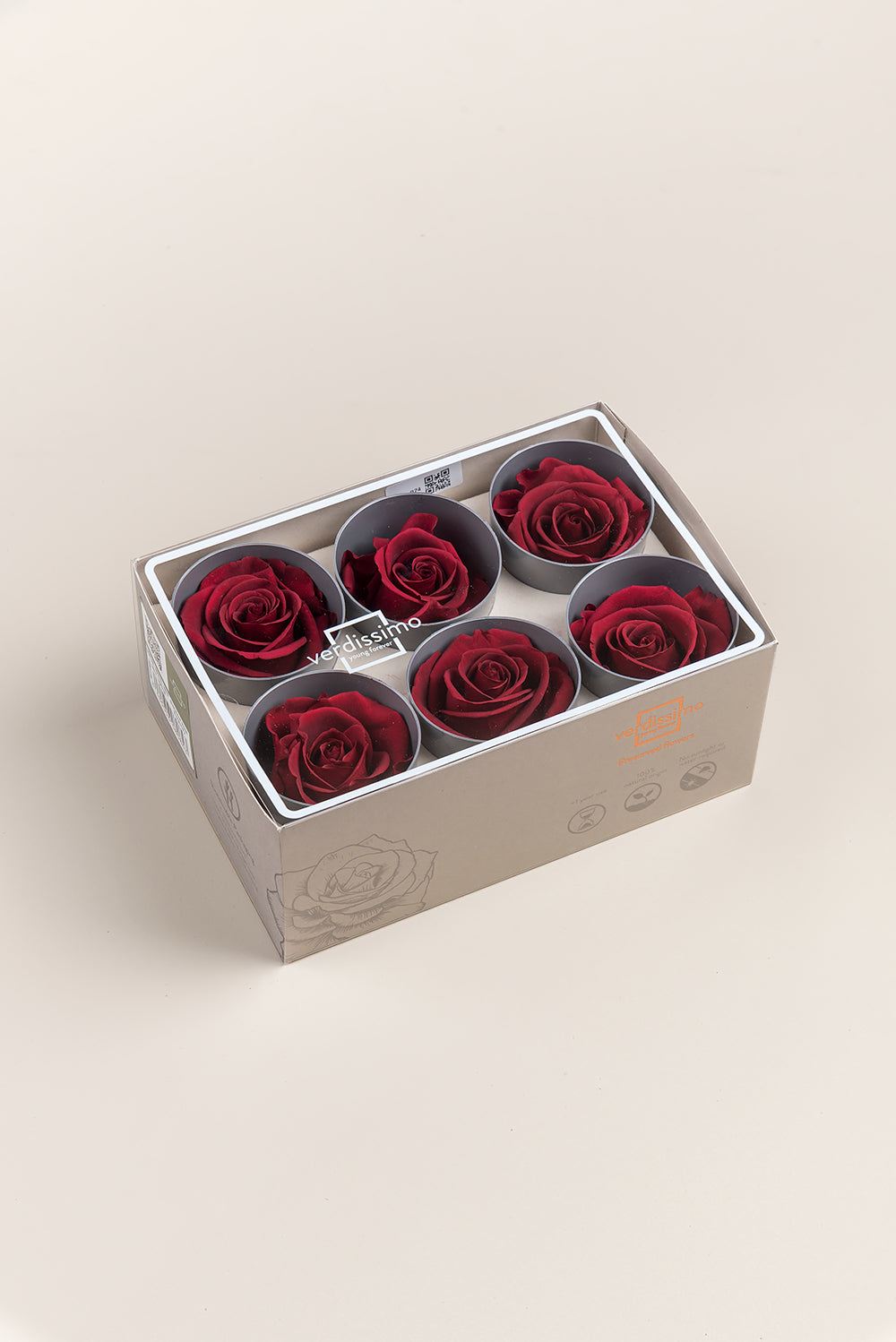 Rose Standard - Boîte 6 têtes