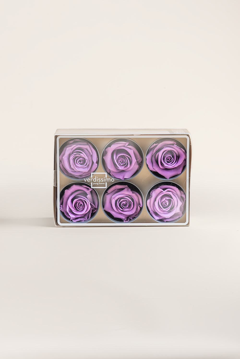 Rose Standard - Boîte 6 têtes