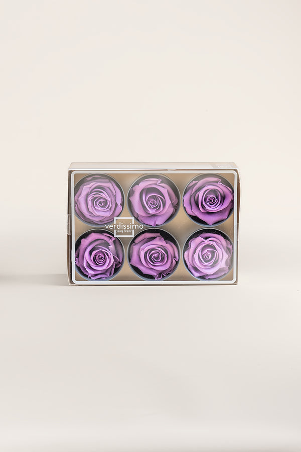 Rose Standard - Boîte 6 têtes