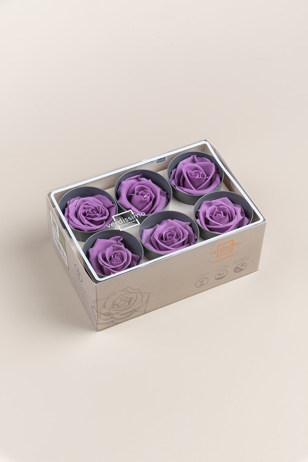Rose Standard - Boîte 6 têtes