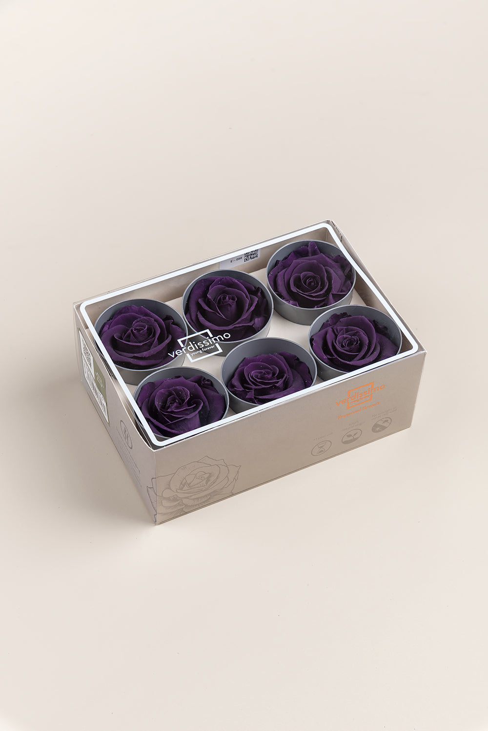 Rose Standard - Boîte 6 têtes