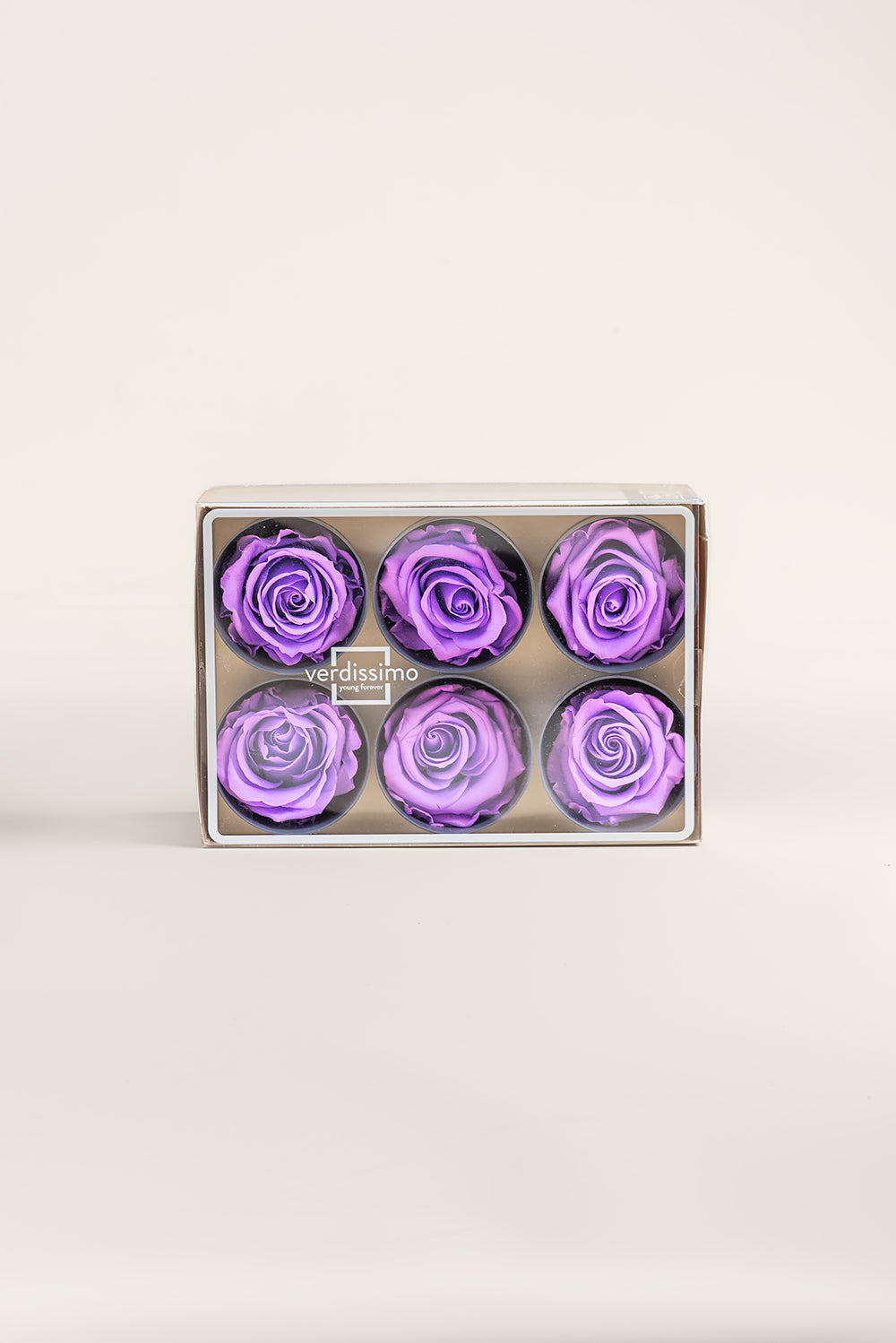 Rose Standard - Boîte 6 têtes