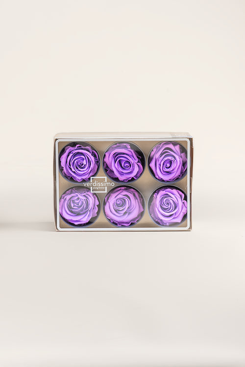 Rosa Estándar - Caja 6 unidades