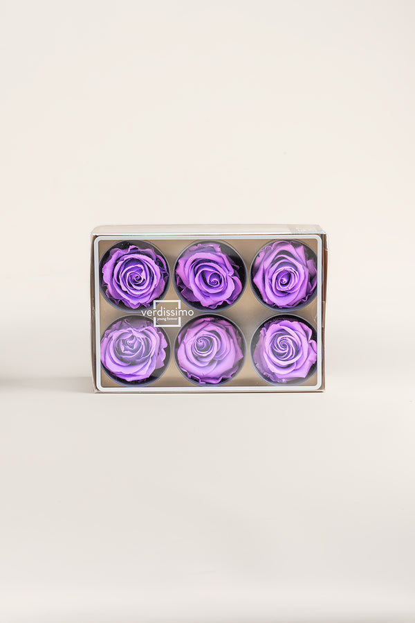 Rose Standard - Boîte 6 têtes