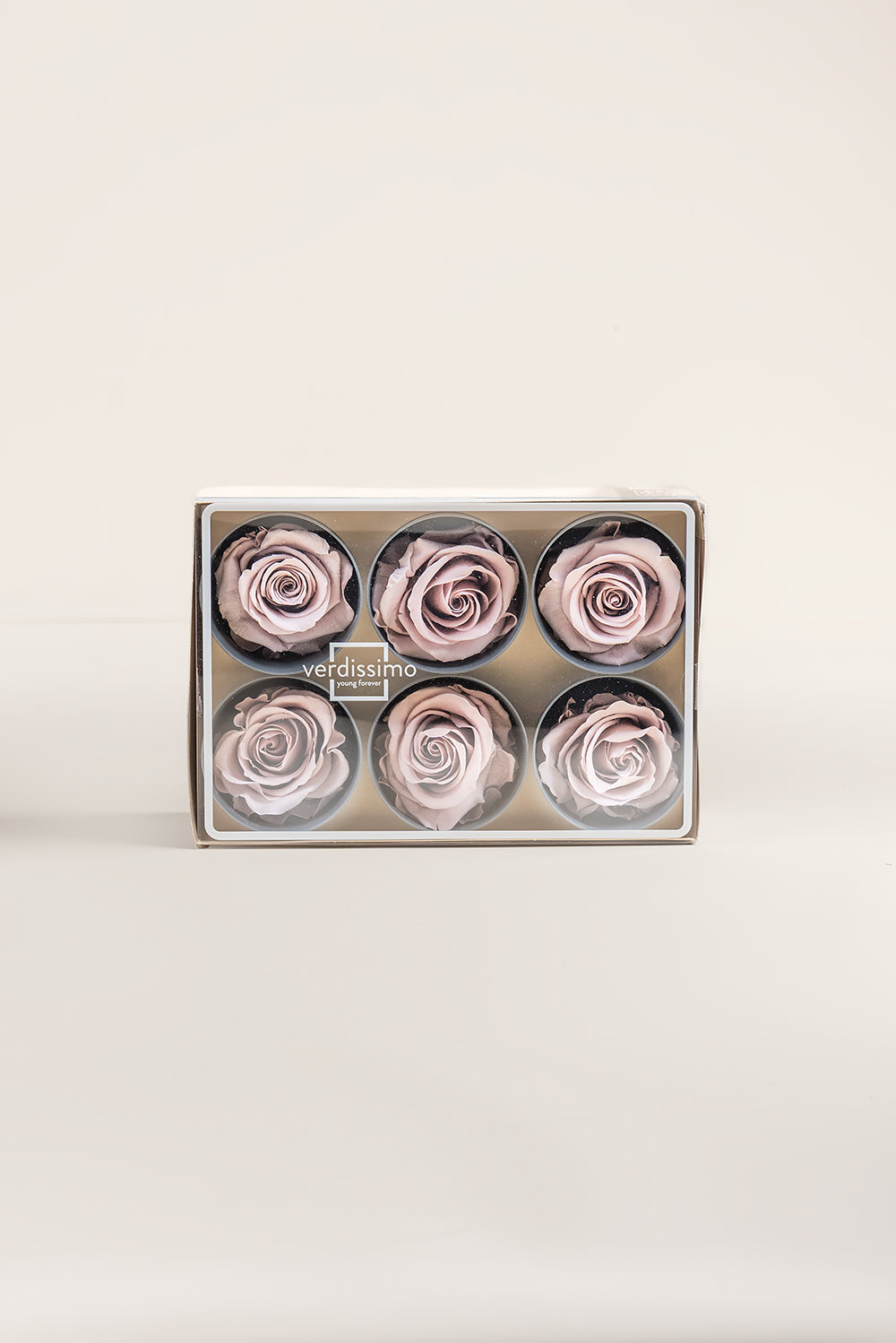 Rose Standard - Box 6 heads