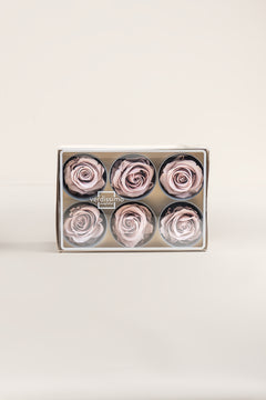 Noisette