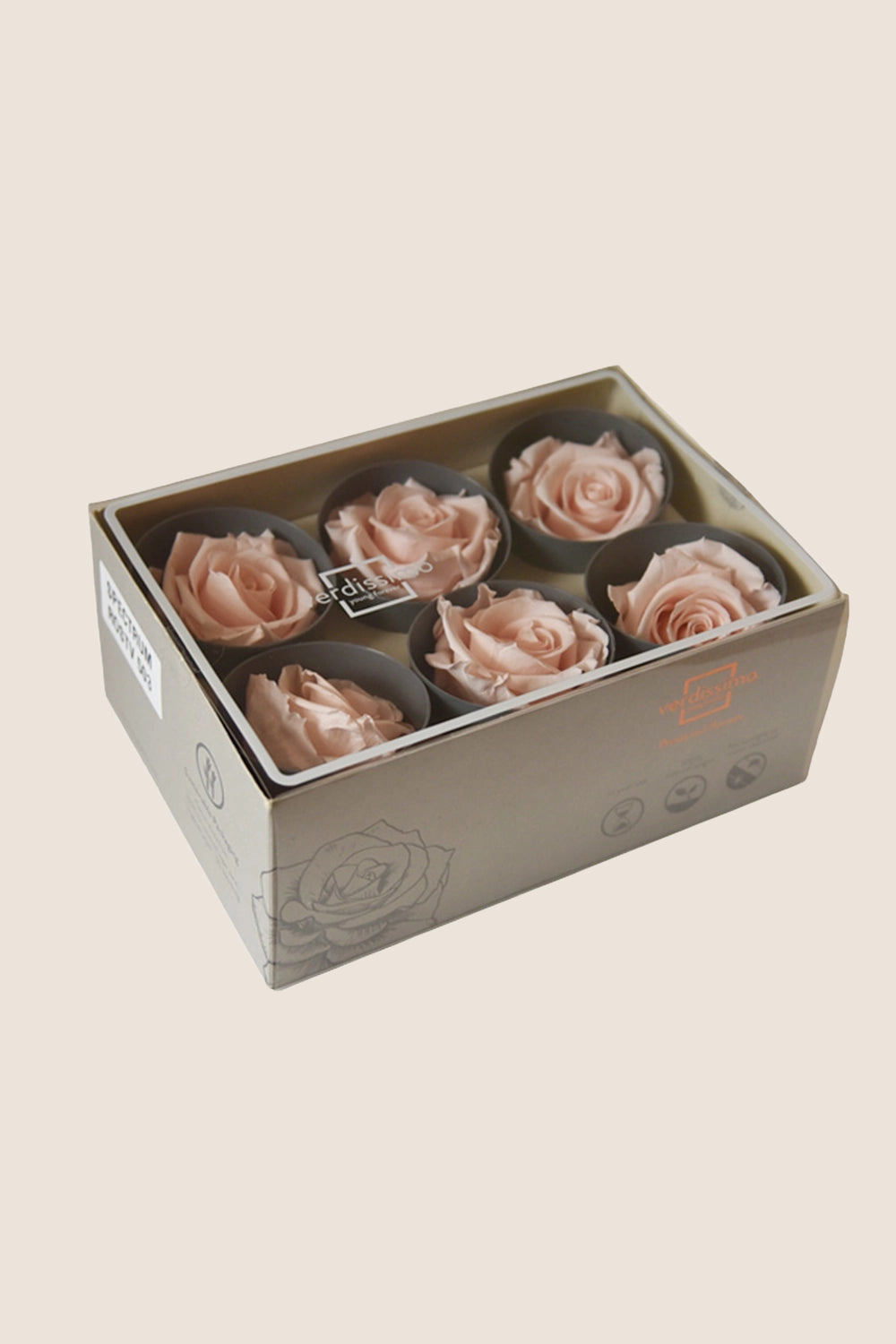 Rose Standard - Boîte 6 têtes