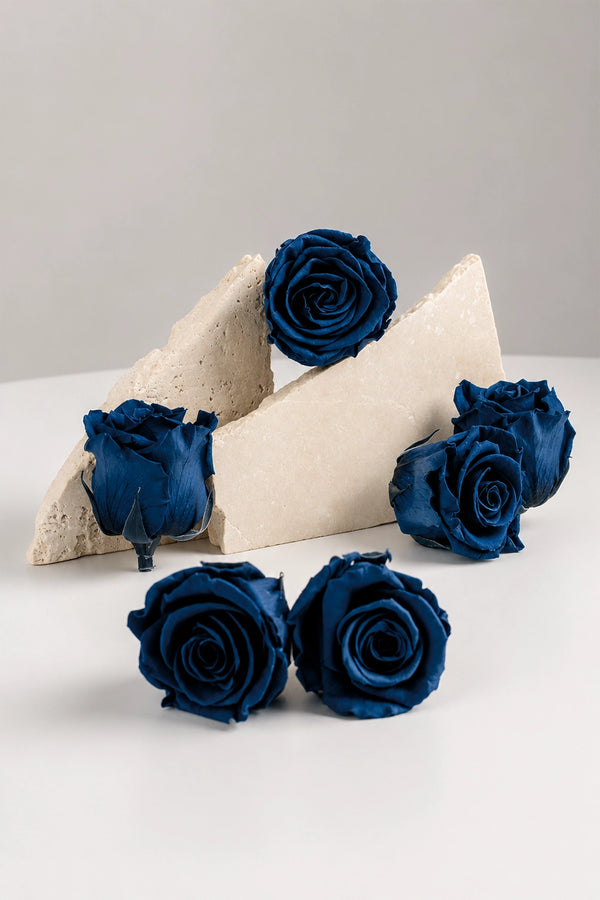 Rose Standard - Boîte 6 têtes