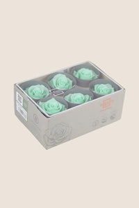 Menthe Pastel