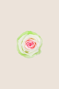 Blanc / Rose pastel / Vert pastel